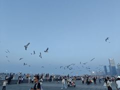 -东港音乐喷泉广场