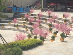 -易生活购物公园