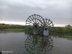 -宁波杭州湾国家湿地公园