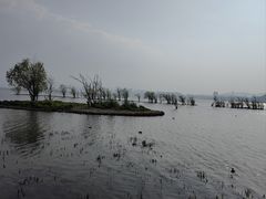 -洱海月湿地公园