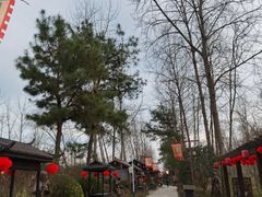 -合肥滨湖国家森林公园