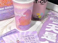 -一只酸奶牛(益州国际店)