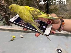 -zoonana室内动物园(东方福来德店)