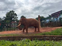 -昆明动物园