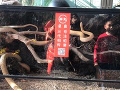-榕记(番禺总店)