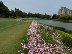 -颖奕安亭高尔夫俱乐部