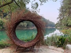 -缙云山景区