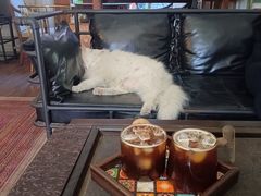 -無鱼咖啡店(淇澳岛店)