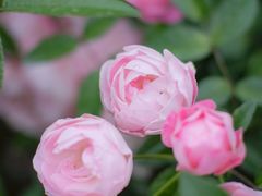 -人民公园(罗湖区)