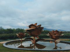 -亚龙湾国际玫瑰谷