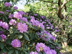 -名花谷生态庄园