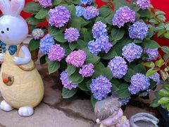 -美吉姆儿童发展中心(芜湖万达广场店)