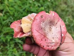 -昆明市金殿名胜区