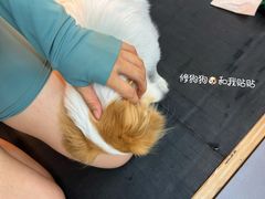 -EFL巴西柔术·综合格斗·泰拳·少儿体能训练(虹桥德必馆)