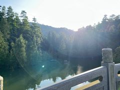-广州市帽峰山景区