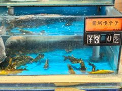 -九转小磨·东北菜老字号(祥安店)