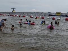 -碧海金沙