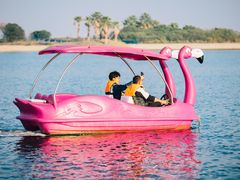 -平湖九龙山旅游度假区