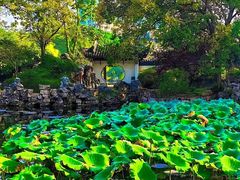 -无锡蠡湖国家湿地公园-蠡园