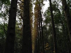 -同里国家湿地公园
