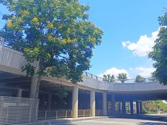 -严氏重油烧麦(硚口店)