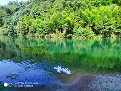 -祁门牯牛降观音堂风景区