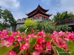 -武汉园博园(武汉自然博物馆)