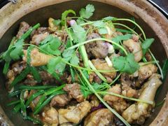 招牌土鸡煲-华仔土鸡店(创意产业园店)