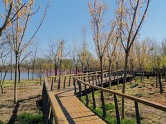 -东郊湿地公园