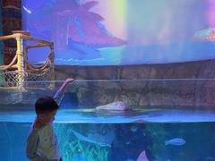 -沈阳海洋探索中心