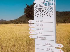 -艾米稻香小镇