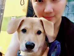 -严国平动物医院(德政总院)