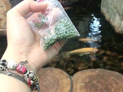 -伯乐居茶艺馆(石岐大信店)