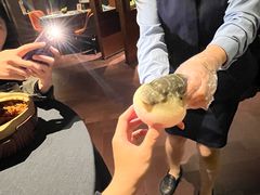-肆月河豚·淮扬菜·湘菜(华天店)