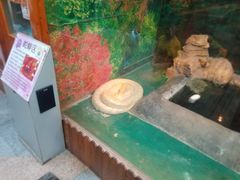 -上海大自然野生昆虫馆(东方明珠·爬宠昆虫探索中心)