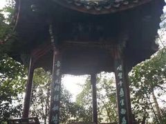 -溪口-滕头旅游景区