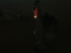 -中国移动南方基地