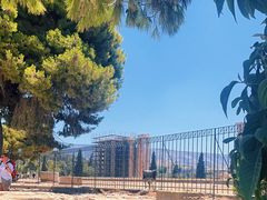 -奥林匹亚宙斯神庙