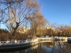 -丰台花园