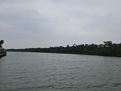 -东寨港红树林旅游区