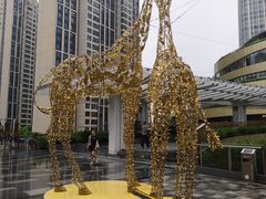 -瑞虹新天地月亮湾