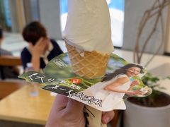 -野人先生Gelato(上海长宁龙之梦店)