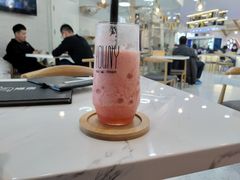 -喵园·猫主题咖啡厅·撸猫·猫咖(国贸店)