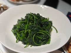 -凤凰湘语(浦东旗舰店)