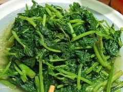 -鸽子窝(青塔店)