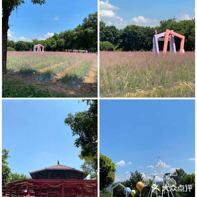 🐮国庆假期亲子游好去处｜光明农场大观园