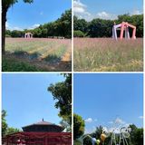 🐮国庆假期亲子游好去处｜光明农场大观园