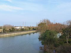 -上海长兴岛郊野公园