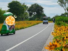 -良渚古城遗址公园