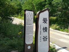 -红崖峡谷景区